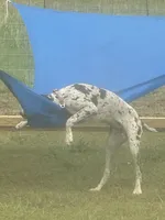 processed/f008df3a-1068-4ac8-82b0-1b8d329cd337/facility/ceb90c14-f475-4bbc-bebd-22c8126fd492