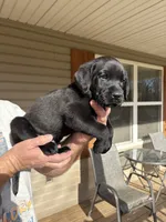 processed/f0099ddf-25cb-4162-bcee-53ea777404de/listing/e5571edc-99c8-4662-a1b5-aa7516e89788/1cefa02e-f361-4bc3-a448-7a2516c92706