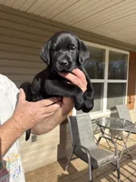 processed/f0099ddf-25cb-4162-bcee-53ea777404de/listing/e5571edc-99c8-4662-a1b5-aa7516e89788/53fe9b05-9a75-4ca7-8047-69a23cd07464