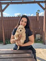 processed/f00ba38b-8c1c-4a8b-a7bd-5e2bdb4d7c39/facility/b72a16c1-ae1b-4e05-8f8c-35c5090cd100