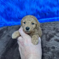 processed/f00ba38b-8c1c-4a8b-a7bd-5e2bdb4d7c39/listing/377c82cd-52ad-4cf6-8943-5478d3cec623/0396490f-c505-4ada-be8b-5cfe25b08f7c