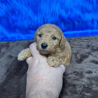 processed/f00ba38b-8c1c-4a8b-a7bd-5e2bdb4d7c39/listing/377c82cd-52ad-4cf6-8943-5478d3cec623/583da20a-3ec3-439b-aab1-26bacfe6b42d