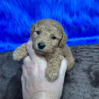 processed/f00ba38b-8c1c-4a8b-a7bd-5e2bdb4d7c39/listing/377c82cd-52ad-4cf6-8943-5478d3cec623/61cc11ca-5819-4bb7-a74e-b8799d641834