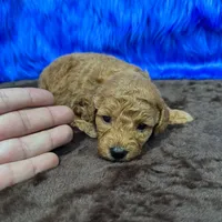 processed/f00ba38b-8c1c-4a8b-a7bd-5e2bdb4d7c39/listing/377c82cd-52ad-4cf6-8943-5478d3cec623/6f42ef8c-f96e-4072-879e-c80122b845e1