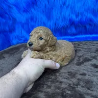 processed/f00ba38b-8c1c-4a8b-a7bd-5e2bdb4d7c39/listing/377c82cd-52ad-4cf6-8943-5478d3cec623/fd665577-d14f-45a2-8e37-6d58f3eb6f75