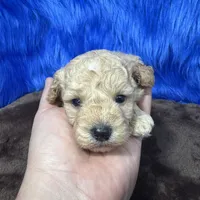 processed/f00ba38b-8c1c-4a8b-a7bd-5e2bdb4d7c39/listing/41ed41e9-c48a-47f5-a598-eeb2bdb8dd67/8c1f9371-596b-433b-b397-e6426149fb07