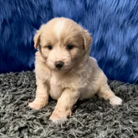 processed/f00ba38b-8c1c-4a8b-a7bd-5e2bdb4d7c39/listing/43076778-d8b2-4b50-be06-4731a4a82fa7/005476b6-9120-4135-a986-88e725bb3f9a