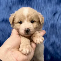 processed/f00ba38b-8c1c-4a8b-a7bd-5e2bdb4d7c39/listing/43076778-d8b2-4b50-be06-4731a4a82fa7/0ebc3c20-111f-4ad0-9c27-c76c64283fb7