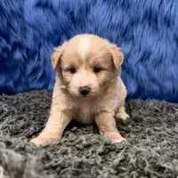 processed/f00ba38b-8c1c-4a8b-a7bd-5e2bdb4d7c39/listing/43076778-d8b2-4b50-be06-4731a4a82fa7/1b7a968b-609a-4b37-a9fb-0d57bca27d47