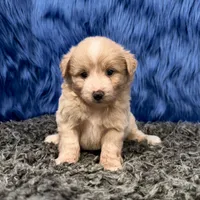 processed/f00ba38b-8c1c-4a8b-a7bd-5e2bdb4d7c39/listing/43076778-d8b2-4b50-be06-4731a4a82fa7/36d8d97b-4caf-4679-b20d-170598d45e80