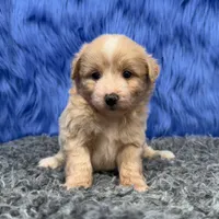 processed/f00ba38b-8c1c-4a8b-a7bd-5e2bdb4d7c39/listing/43076778-d8b2-4b50-be06-4731a4a82fa7/711015bf-f674-43e3-ae2f-30fa3675683b