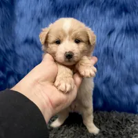 processed/f00ba38b-8c1c-4a8b-a7bd-5e2bdb4d7c39/listing/43076778-d8b2-4b50-be06-4731a4a82fa7/8dae262f-3626-4d5a-a638-dd6bc9dce8b7