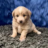 processed/f00ba38b-8c1c-4a8b-a7bd-5e2bdb4d7c39/listing/43076778-d8b2-4b50-be06-4731a4a82fa7/942906a6-03f6-4486-89c1-d97a9b36ec62