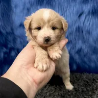 processed/f00ba38b-8c1c-4a8b-a7bd-5e2bdb4d7c39/listing/43076778-d8b2-4b50-be06-4731a4a82fa7/f8f245e8-93a5-4b6f-847d-b725ab374830