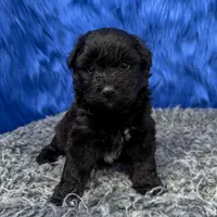 processed/f00ba38b-8c1c-4a8b-a7bd-5e2bdb4d7c39/listing/575e9648-3a08-49ca-a727-7688723138de/02ea498f-c889-4f3a-aad7-cb6ec9436b15