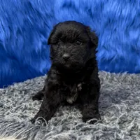 processed/f00ba38b-8c1c-4a8b-a7bd-5e2bdb4d7c39/listing/575e9648-3a08-49ca-a727-7688723138de/47b626cd-b29c-4449-b4dd-38b320899151