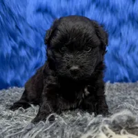 processed/f00ba38b-8c1c-4a8b-a7bd-5e2bdb4d7c39/listing/575e9648-3a08-49ca-a727-7688723138de/5863c447-52b6-4033-b717-7a41080bc2c5