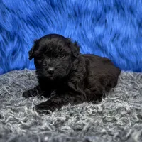 processed/f00ba38b-8c1c-4a8b-a7bd-5e2bdb4d7c39/listing/575e9648-3a08-49ca-a727-7688723138de/61c8fde3-122a-4618-b64c-41386a74f012