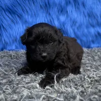 processed/f00ba38b-8c1c-4a8b-a7bd-5e2bdb4d7c39/listing/575e9648-3a08-49ca-a727-7688723138de/89d5ea22-782a-4713-8b09-9648ad3c7510