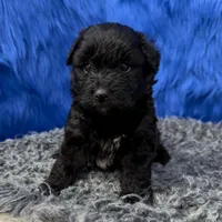 processed/f00ba38b-8c1c-4a8b-a7bd-5e2bdb4d7c39/listing/575e9648-3a08-49ca-a727-7688723138de/b34b258f-5e76-4ea4-9f54-aec183774ae7