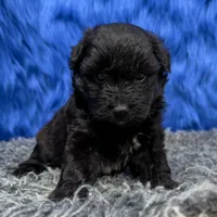 processed/f00ba38b-8c1c-4a8b-a7bd-5e2bdb4d7c39/listing/575e9648-3a08-49ca-a727-7688723138de/b747e952-9bdb-4db6-956a-fad31bc58332