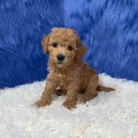 processed/f00ba38b-8c1c-4a8b-a7bd-5e2bdb4d7c39/listing/8b4c7e30-eba7-4706-8588-5b336173f296/1abaef9e-013d-491f-92cc-0927d8780df5