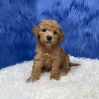 processed/f00ba38b-8c1c-4a8b-a7bd-5e2bdb4d7c39/listing/8b4c7e30-eba7-4706-8588-5b336173f296/ab159e60-0d90-4a52-b1c4-1f3e2ddff0b1