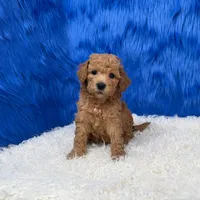 processed/f00ba38b-8c1c-4a8b-a7bd-5e2bdb4d7c39/listing/8b4c7e30-eba7-4706-8588-5b336173f296/f1ddad9d-d1a7-4627-8405-b5ce124ba272