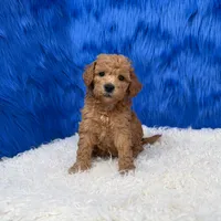 processed/f00ba38b-8c1c-4a8b-a7bd-5e2bdb4d7c39/listing/8b4c7e30-eba7-4706-8588-5b336173f296/fd3276ce-7a22-4b6f-9ce4-2095bea3579c