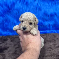 processed/f00ba38b-8c1c-4a8b-a7bd-5e2bdb4d7c39/listing/9379b3ad-c482-47c5-8f8b-1f99ef36fecc/f6594d2e-26e0-47a9-b4b9-40e773bd5653