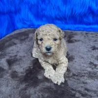 processed/f00ba38b-8c1c-4a8b-a7bd-5e2bdb4d7c39/listing/a6b4a125-71bc-4304-911e-fbf1e06a0a8f/4221e585-da77-4fa0-bac9-c4a365a5e431