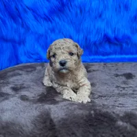 processed/f00ba38b-8c1c-4a8b-a7bd-5e2bdb4d7c39/listing/a6b4a125-71bc-4304-911e-fbf1e06a0a8f/5ff81336-ad8f-41ad-b496-ab2d7ad52b5d