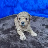 processed/f00ba38b-8c1c-4a8b-a7bd-5e2bdb4d7c39/listing/a6b4a125-71bc-4304-911e-fbf1e06a0a8f/c4461a2e-74ad-477e-854d-6693d8b14afb