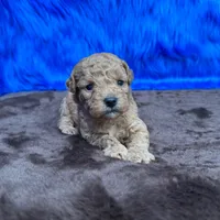 processed/f00ba38b-8c1c-4a8b-a7bd-5e2bdb4d7c39/listing/a6b4a125-71bc-4304-911e-fbf1e06a0a8f/d502396d-d3d4-42ca-81cc-907fa3408473