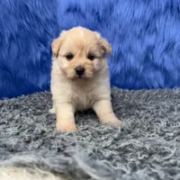 processed/f00ba38b-8c1c-4a8b-a7bd-5e2bdb4d7c39/listing/cf96ebe1-5426-48d2-b1c5-96994ada50da/5c6af6cb-f911-49e2-aa6c-5244b36777fe