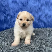 processed/f00ba38b-8c1c-4a8b-a7bd-5e2bdb4d7c39/listing/cf96ebe1-5426-48d2-b1c5-96994ada50da/639e2343-a0bd-4bc4-a7c7-65d5cf43f3e5