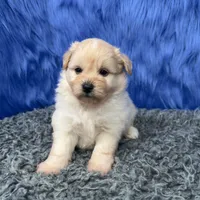 processed/f00ba38b-8c1c-4a8b-a7bd-5e2bdb4d7c39/listing/cf96ebe1-5426-48d2-b1c5-96994ada50da/68f45e65-d083-44f7-bdb2-05841b76ad8b