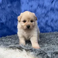 processed/f00ba38b-8c1c-4a8b-a7bd-5e2bdb4d7c39/listing/cf96ebe1-5426-48d2-b1c5-96994ada50da/b4a459ed-358a-4994-b2bb-68a5de9dcc0e