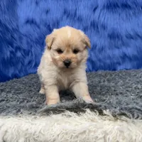 processed/f00ba38b-8c1c-4a8b-a7bd-5e2bdb4d7c39/listing/cf96ebe1-5426-48d2-b1c5-96994ada50da/c2c99cbc-9ed7-49b2-a441-c8821de60cca