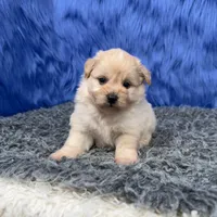 processed/f00ba38b-8c1c-4a8b-a7bd-5e2bdb4d7c39/listing/cf96ebe1-5426-48d2-b1c5-96994ada50da/cd4972cb-6b20-4cf8-8277-6e3d178832ee