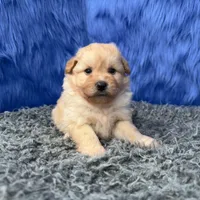 processed/f00ba38b-8c1c-4a8b-a7bd-5e2bdb4d7c39/listing/d3d2233e-fb31-4e3f-b205-0e88be7b519d/1bec8e3a-cd04-44f2-b4e2-154942e7a10f