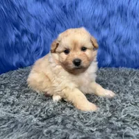 processed/f00ba38b-8c1c-4a8b-a7bd-5e2bdb4d7c39/listing/d3d2233e-fb31-4e3f-b205-0e88be7b519d/2728e3c9-9d2c-442c-969f-489415554dac