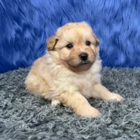 processed/f00ba38b-8c1c-4a8b-a7bd-5e2bdb4d7c39/listing/d3d2233e-fb31-4e3f-b205-0e88be7b519d/8b31aa78-a522-4df8-87f2-81f0d8008220