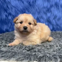 processed/f00ba38b-8c1c-4a8b-a7bd-5e2bdb4d7c39/listing/d3d2233e-fb31-4e3f-b205-0e88be7b519d/acd38000-d3fb-4527-8505-bb422644ce87