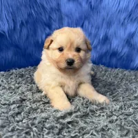 processed/f00ba38b-8c1c-4a8b-a7bd-5e2bdb4d7c39/listing/d3d2233e-fb31-4e3f-b205-0e88be7b519d/f96724b2-8912-4944-ac83-87aeaee2b8df