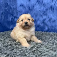 processed/f00ba38b-8c1c-4a8b-a7bd-5e2bdb4d7c39/listing/d3d2233e-fb31-4e3f-b205-0e88be7b519d/fdc81b6f-6794-42d0-87be-686167f187ee