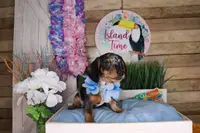 processed/f00c09f9-5892-43c5-97db-aabd00272f60/listing/fe20f44b-24a1-465c-8c1e-f15c992b71e6/4eb1a93c-28ca-453f-bbe9-f3efbf562bfa