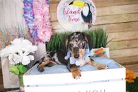 processed/f00c09f9-5892-43c5-97db-aabd00272f60/listing/fe20f44b-24a1-465c-8c1e-f15c992b71e6/76949d3c-aa77-428d-a210-b92aa8b4a338