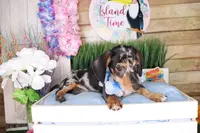 processed/f00c09f9-5892-43c5-97db-aabd00272f60/listing/fe20f44b-24a1-465c-8c1e-f15c992b71e6/ce227cfd-2840-454e-ad8f-ada23491ea90