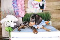 processed/f00c09f9-5892-43c5-97db-aabd00272f60/listing/fe20f44b-24a1-465c-8c1e-f15c992b71e6/fa17befe-580b-4b1c-9c80-a31e824cda11